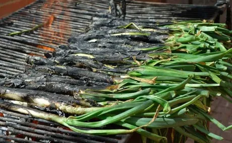 Calçots? What exactly are Calçots?